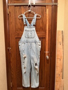 wild fable Light Blue Denim Overalls with Contrast Stitching